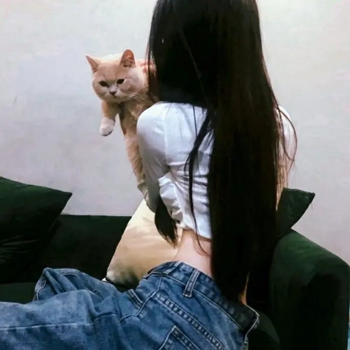 蜘蛛网中的女孩